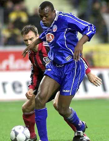 引进其他有 引进其他有